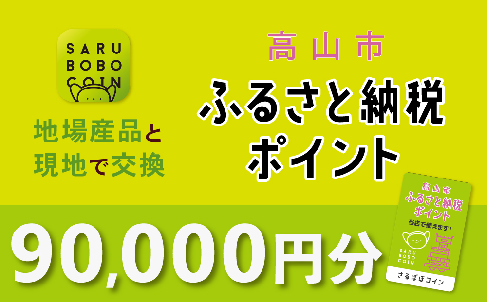 高山市ふるさと納税ポイント 90,000pt【飛騨信用組合 SB007】