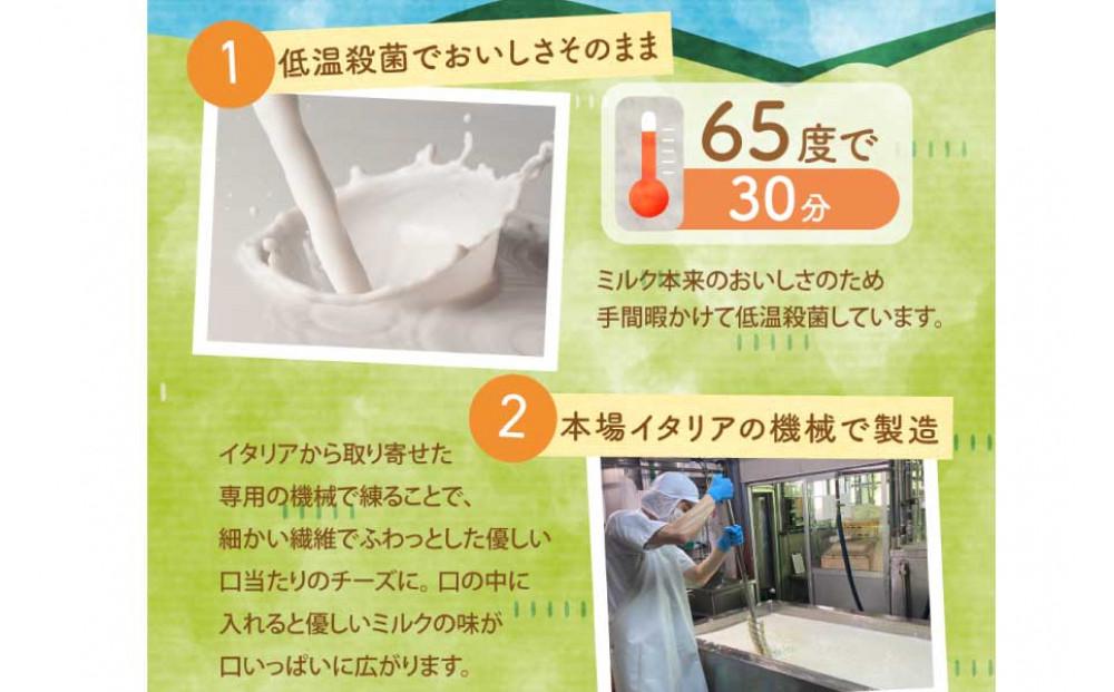 ＜牧成舎＞飛騨の牛乳屋さんが作った こだわりの フレッシュモッツァレラチーズ（100g×2個）| チーズ 国産 乳製品 牛乳 低温殺菌 おいしい ナチュラルチーズ モッツァレラ  (有)牧成舎 DF036