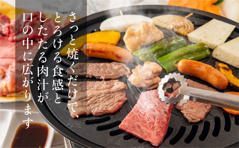 飛騨牛 みすじ ウデ 焼肉 500g 盛り合わせ ( 赤身 & 霜降り ) 牛 黒毛