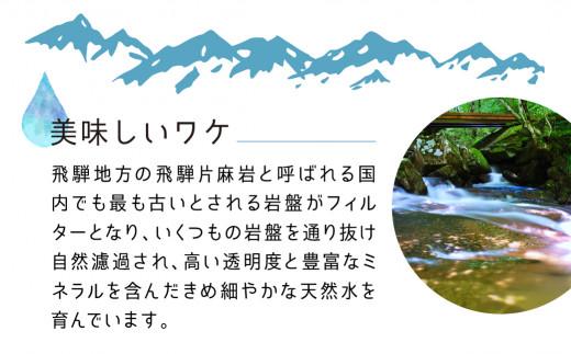 【年内配送 12月25日まで受付】北アルプス天然水 500ml×24本 1ケース ミネラルウォーター 年内発送 水 ペットボトル 飲料水 500ミリリットル 白啓酒店 飛騨高山  JS014