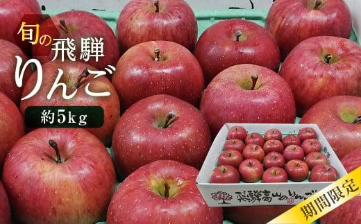 【数量限定/先行予約】飛騨りんご 約5kg (16個～20個）| 9月中旬～順次発送 リンゴ 品種おまかせ 旬のりんごを飛騨からお届け おいしい 大容量 飛騨高山 a529