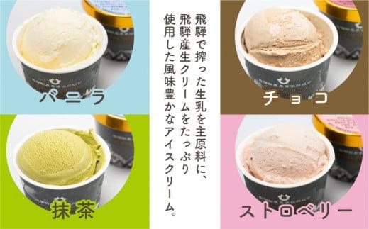 飛騨アイスクリームセット 4種8個入り | アイス 食べ比べ 飛騨牛乳 ミルク 濃厚 抹茶 ストロベリー チョコレート バニラ いちご  冷凍 詰め合わせ ギフト プレゼント 飛騨高山 飛騨酪農農業協同組合 CV005