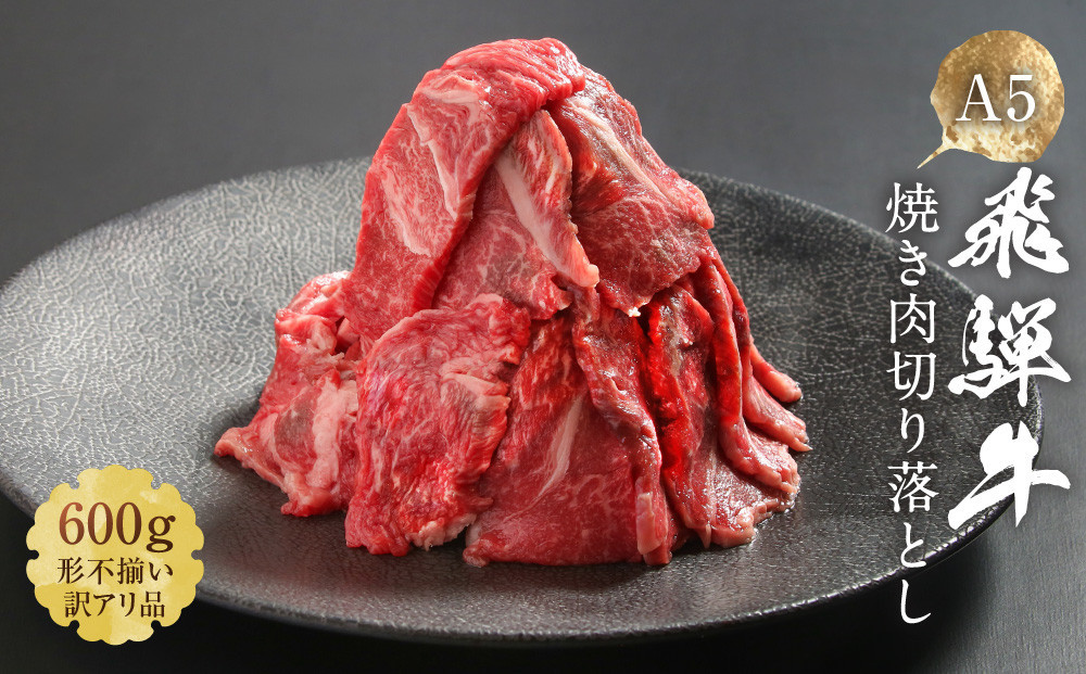 【形不揃い訳あり】A5等級飛騨牛 焼肉 切り落とし600g（冷蔵配送）| 牛肉 肉 和牛 キャンプ 肉料理 ブランド牛 不揃い 人気 国産 お取り寄せ グルメ おすすめ 株式会社岩ト屋 HF040VC13