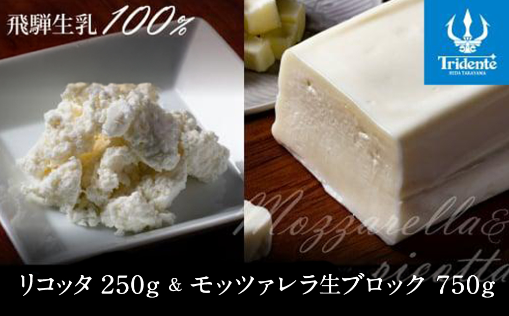 飛騨生乳100％ リコッタチーズ 1個（250g）& モッツァレラチーズ生ブロック 1個（750g）| リコッタ モッツァレラブロック 冷蔵 サラダ お菓子 低温殺菌 新鮮 国産 乳製品 無添加 飛騨高山 チーズ工房トリデンテ LF007