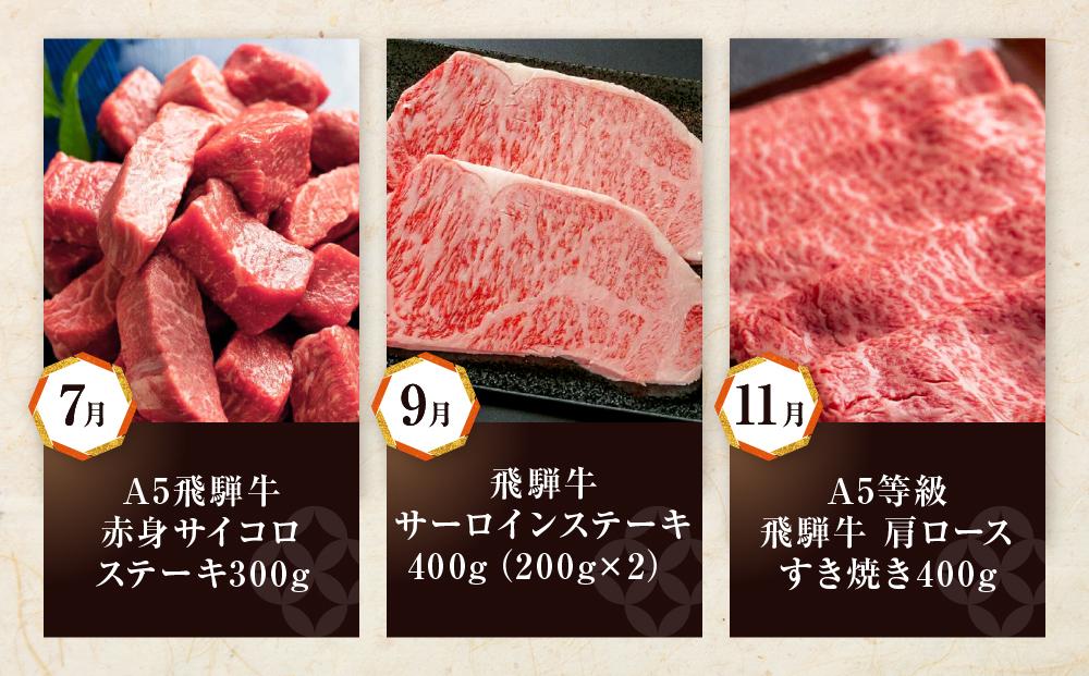 【飛騨牛 定期便】＜全6回＞2ヶ月に1回お届け  牛肉（ステーキ / 焼肉 / しゃぶしゃぶ / すき焼き） | 肉 食べ比べ 霜降り ロース もも 岐阜 高山市 飛騨高山 岐阜県 人気 お楽しみ おすすめ ZZ016