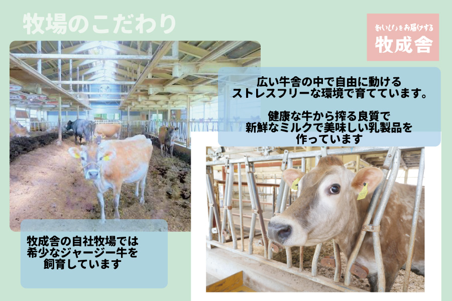 縲先ッ朱ア螳壽悄萓ソ 迚帑ケウ 3譛ャテ12蝗槭 豈朱ア 蝗樊焚驕ク縺ケ繧 3繝カ譛 鬟幃ィィ逕」逕滉ケウ100シ 迚ァ謌占 鄒主袖縺励>菴取クゥ谿コ闖檎央荵ウ 荵ウ陬ス蜩 鬟幃ィィ 縺頑・ス縺励∩