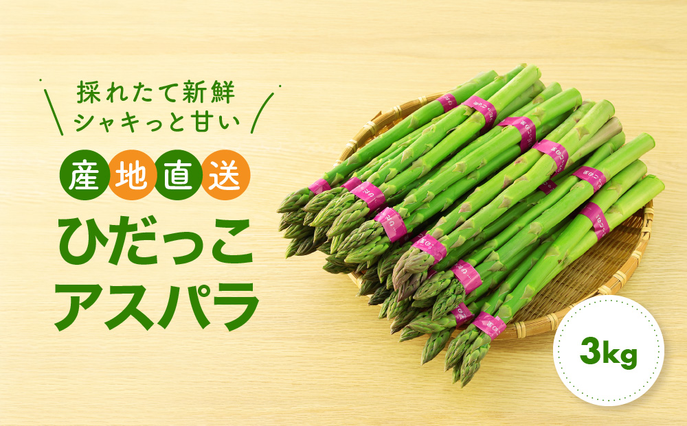 【夏芽】 ひだっこ アスパラガス グリーンアスパラガス 3.0kg アスパラ 飛騨 旬 野菜 b526