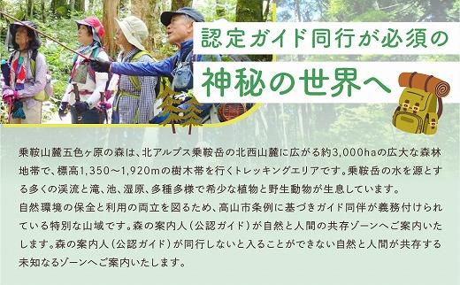 2023・24年度シーズン 乗鞍山麓 秘境「五色ヶ原」トレッキングロングコース「シラビソコース（所要8時間）」 2名分 MK002