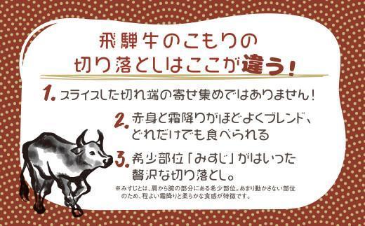 飛騨牛 切り落とし 300g×2パックセット | みすじ ウデ すき焼き しゃぶしゃぶ 希少部位 600g 和牛 国産牛 冷凍 飛騨高山 飛騨牛のこもり FC005VC13