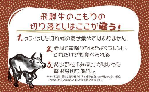 飛騨牛 切り落とし 300g | みすじ ウデ すき焼き しゃぶしゃぶ  希少部位 和牛 国産牛 冷凍 飛騨高山 飛騨牛のこもり FC007VC13