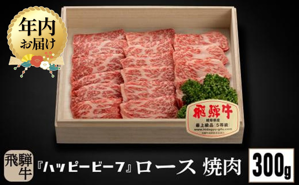 【12月配送】飛騨牛 A5等級 ロース ３００g 年内発送 焼肉 飛騨牛 ブランド牛 Ａ5ランク ハッピープラス 飛騨高山 JQ008VC12