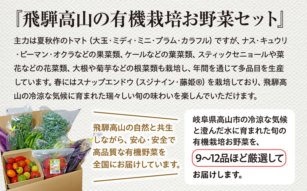 贈り物にも！夏秋の旬を詰めた飛騨高山の有機栽培お野菜ギフト｜夏野菜 秋野菜 新鮮  有機野菜 旬野菜 地元野菜 やさい 農園 高山市 山藏農園 JC023
