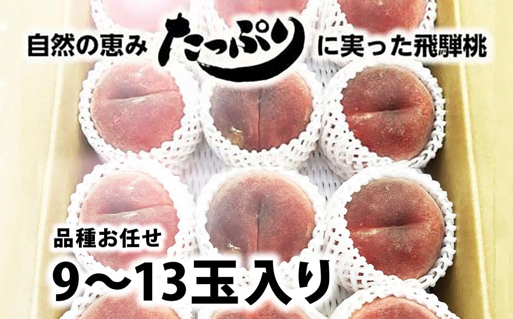 【数量限定】≪7月下旬～順次発送≫ 飛騨桃 品種 おまかせ 3kg（9～13玉入り）| もも 桃 モモ くだもの 果物 フルーツ 飛騨高山 ぜんぞう果樹園 FX002