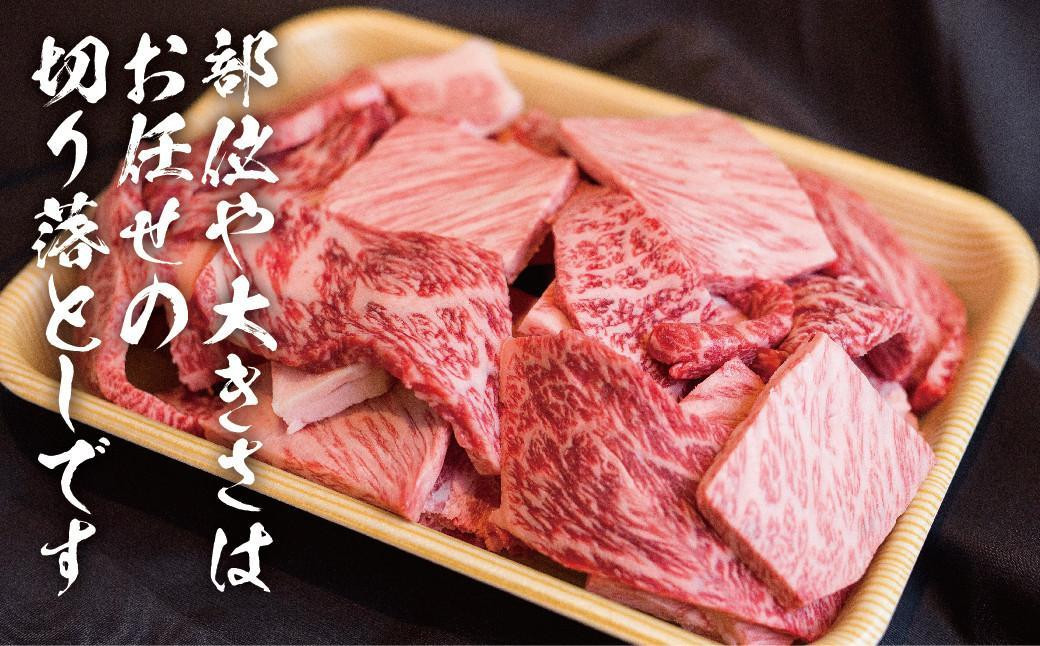【2026年4月～7月発送】飛騨牛 訳あり焼肉1kg 切りおとし | 牛肉 訳あり 部位 大きさ 不揃い 日付指定不可 冷凍 焼き肉 BBQ バーベキュー 切落し 和牛 牛肉 飛騨高山 株式会社丸明 LR008FAJ04-07