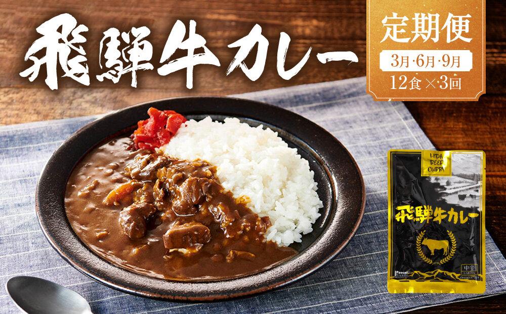 【期間限定】飛騨牛カレー 36袋(12袋x3回) 定期便 3回【3月・6月・9月】| 訳あり 飛騨牛 肉 牛 カレー ビーフカレー 簡易包装 レトルトカレー ご当地カレー 人気 おすすめ ふるさと清見21 DC105