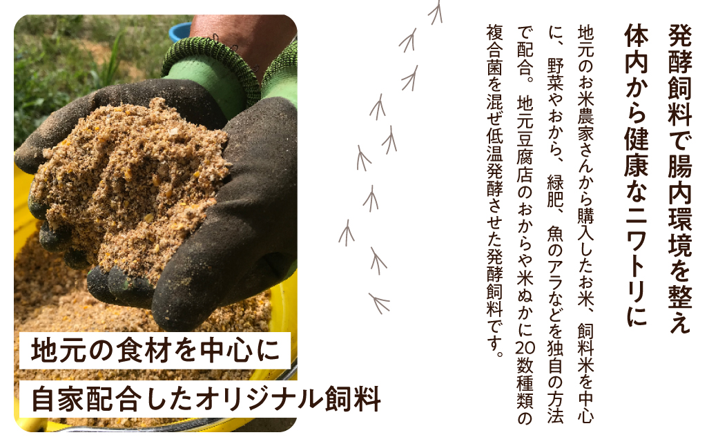 縲仙ョ壽悄萓ソ 12繝カ譛医大ケウ鬟シ縺 閾ェ辟カ蜊オ 24蛟 繧サ繝繝 縺溘∪縺 蜊オ 鬟幃ィィ鬮伜アア 譽ョ縺ョ縺溘∪縺碑セイ蝨 LW104 | 螳壽悄萓ソ 縺溘∪縺 螳壽悄萓ソ 蜊オ 蟷ウ鬟シ縺 蟷ウ鬟シ縺蜊オ 螳壽悄萓ソ 縺溘∪縺 螳壽悄萓ソ 蜊オ 蟷ウ鬟シ縺 蟷ウ鬟シ縺蜊オ 螳壽悄萓ソ 縺溘∪縺 螳壽悄萓ソ 蜊オ 蟷ウ鬟シ縺 蟷ウ鬟シ縺蜊オ