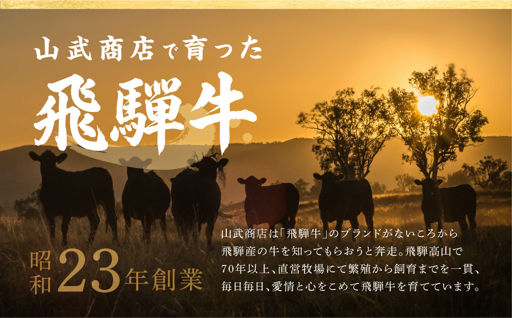 飛騨牛 ロース ステーキ 200g×2枚 2人前 ロースステーキ  霜降り 牛肉 黒毛和牛 和牛 国産牛 サーロインステーキ 高級肉 飛騨高山 山武商店  LZ017