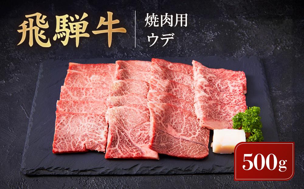 飛騨牛 焼肉用 ウデ 500g | 黒毛和牛 ブランド和牛 BBQ 肉料理 旨味 高山米穀協業組合 FA007