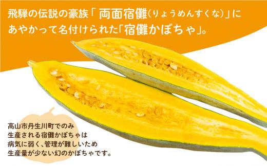 【数量限定】2026年 先行予約（9月頃より発送開始予定） 宿儺かぼちゃ 2本 | 南瓜 カボチャ 飛騨野菜 飛騨の特産品 野菜 数量限定 期間限定 飛騨高山 宿儺さま KA003