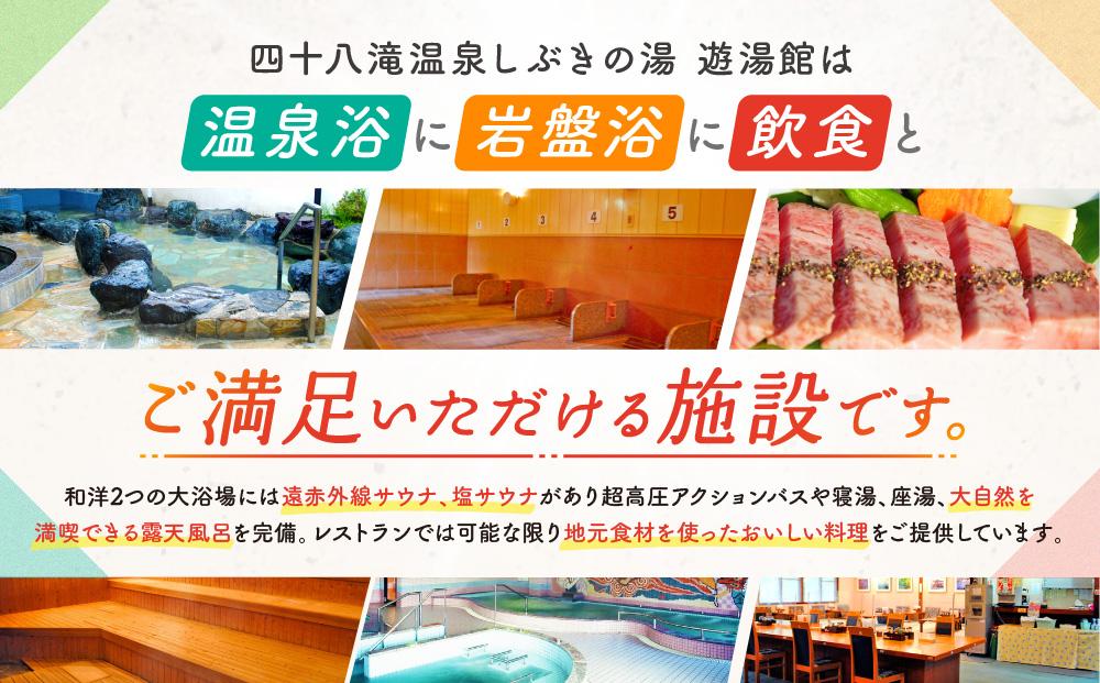 四十八滝温泉しぶきの湯遊湯館 入浴回数券12枚綴り 飛騨国府観光株式会社 EL002