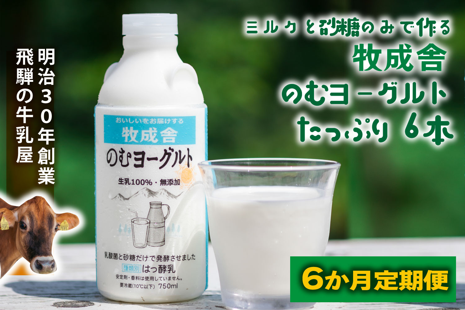 【6か月定期便】牧成舎のむヨーグルト 750ml×6本セット　飛騨産生乳使用｜乳製品 毎日習慣 素材 自然の恵み 乳飲料  (有)牧成舎 DF249