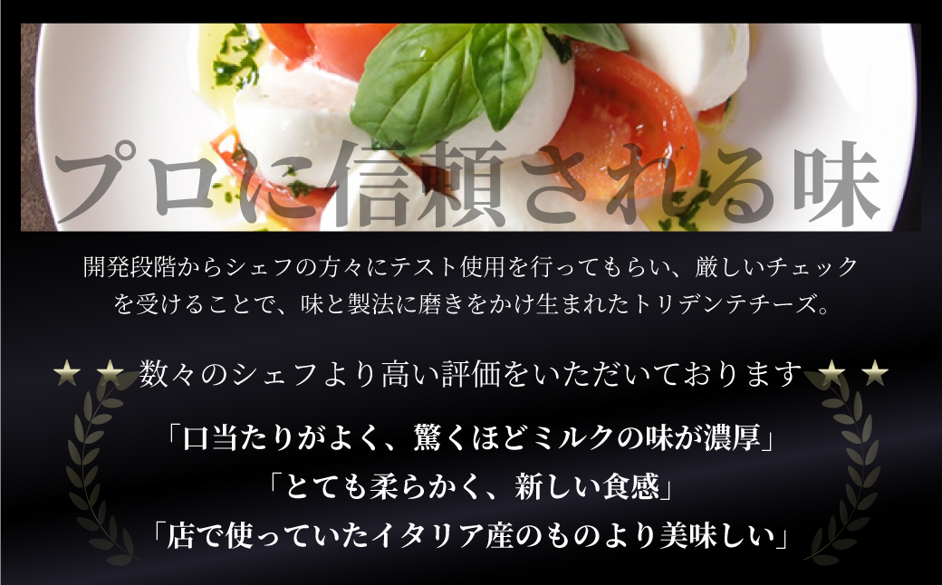 リコッタチーズ 250g 2個セット リコッタ 冷蔵 サラダ  お菓子    前菜 サラダ 新鮮 生乳 国産 低温殺菌 乳製品 無添加 大容量 業務用サイズ   飛騨高山 トリデンテ リアライン  LF006