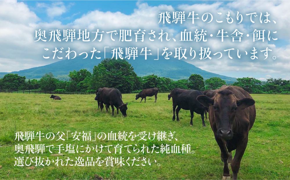 飛騨牛 肩ロース しゃぶしゃぶ 500g  肉 和牛 黒毛和牛 ロース 霜降り  のし 熨斗 飛騨高山 ブランド牛  飛騨牛のこもり FC025