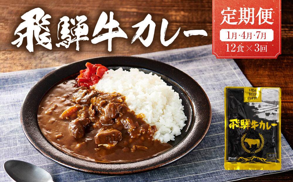 【期間限定】飛騨牛カレー 36袋(12袋x3回)  定期便 3回【1月・4月・7月】 | 訳あり 飛騨牛 肉 牛 カレー ビーフカレー 簡易包装 レトルトカレー ご当地カレー 人気 おすすめ ふるさと清見21 DC103