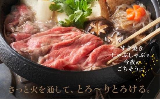 【飛騨牛 定期便】＜全6回＞2ヶ月に1回お届け  牛肉（ステーキ / 焼肉 / しゃぶしゃぶ / すき焼き） | 肉 食べ比べ 霜降り ロース もも 岐阜 高山市 飛騨高山 岐阜県 人気 お楽しみ おすすめ ZZ016