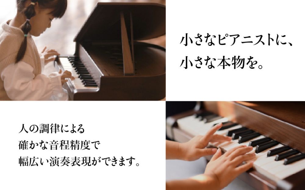 飛騨産業 KAWAI 飛騨の家具 家具 ミニグランドピアノ グランドピアノ ピアノ 木工製品 木製 木工 飛騨高山 TR3173