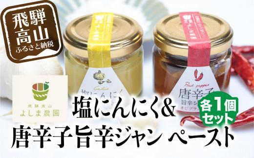【1月配送】自然栽培調味料シリーズ 唐辛子旨辛ジャン 塩にんにく ペースト 塩  飛騨高山よしま農園 CK010VC01