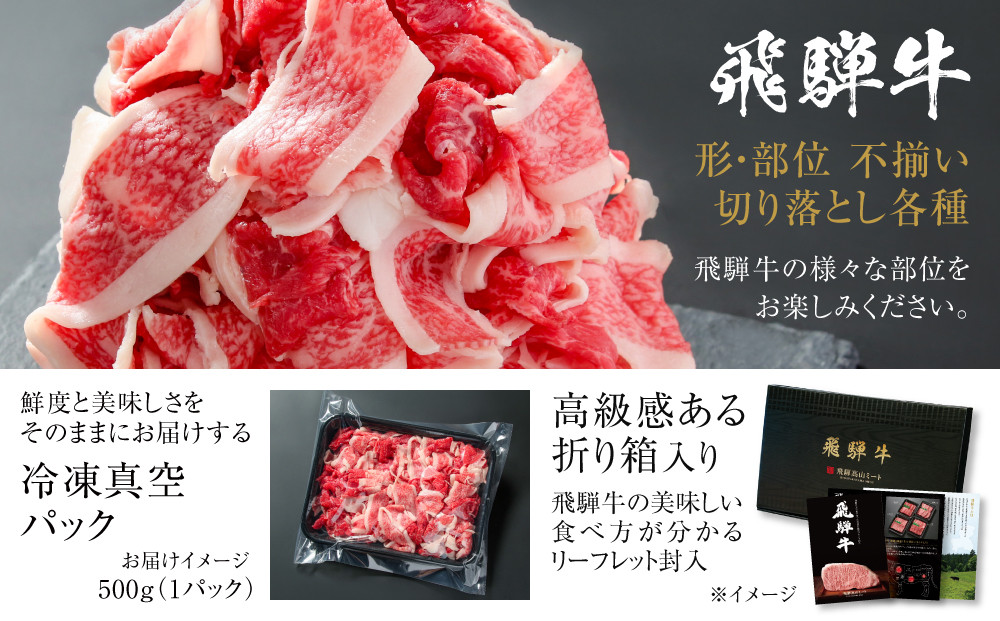 訳あり 飛騨牛 切落とし 500g 冷凍真空パック | 肉 お肉 切り落とし 薄切り すき焼き すきやき 黒毛和牛 和牛 人気 おすすめ 牛肉 ギフト お取り寄せ 飛騨高山ミート MZ011VC13