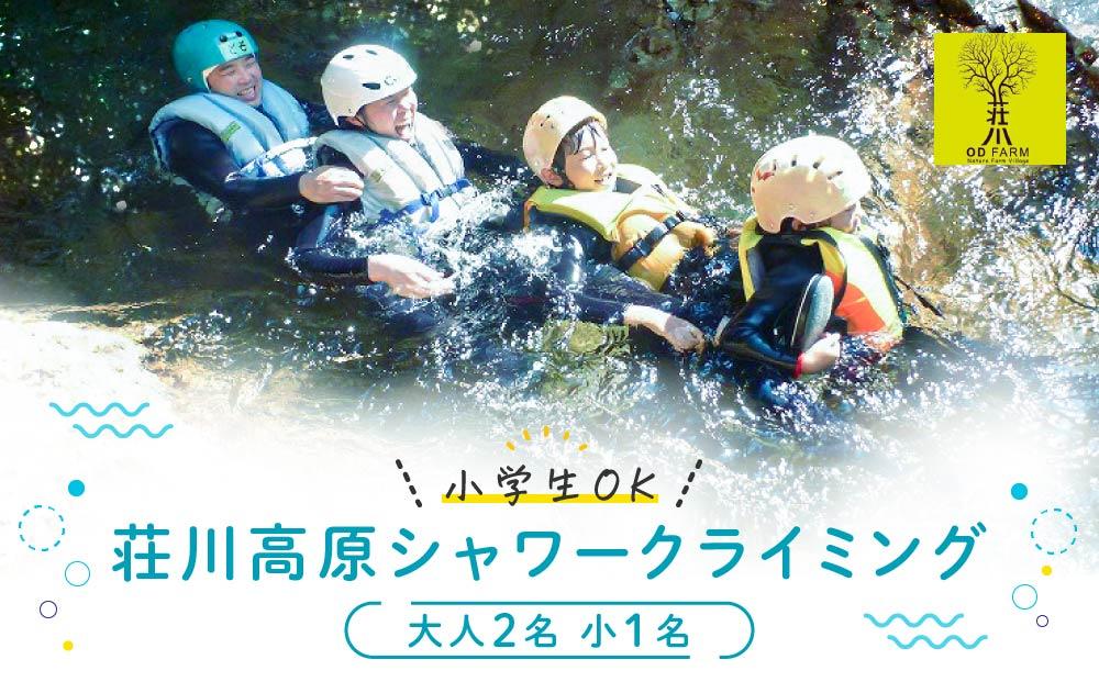 OD-FARMèå·ãå°åŠçOKãèå·é«åãã¡ããªãŒã·ã£ã¯ãŒã¯ã©ã€ãã³ã° 倧人2åãå°äºº1å | å· æ» éã³ äœéš å€ æãåº åäŸ èŠªå å®¶æ é£éššé«å±± (æ ª)ã¢ãŠããã¢ãµããŒãã·ã¹ãã AB002