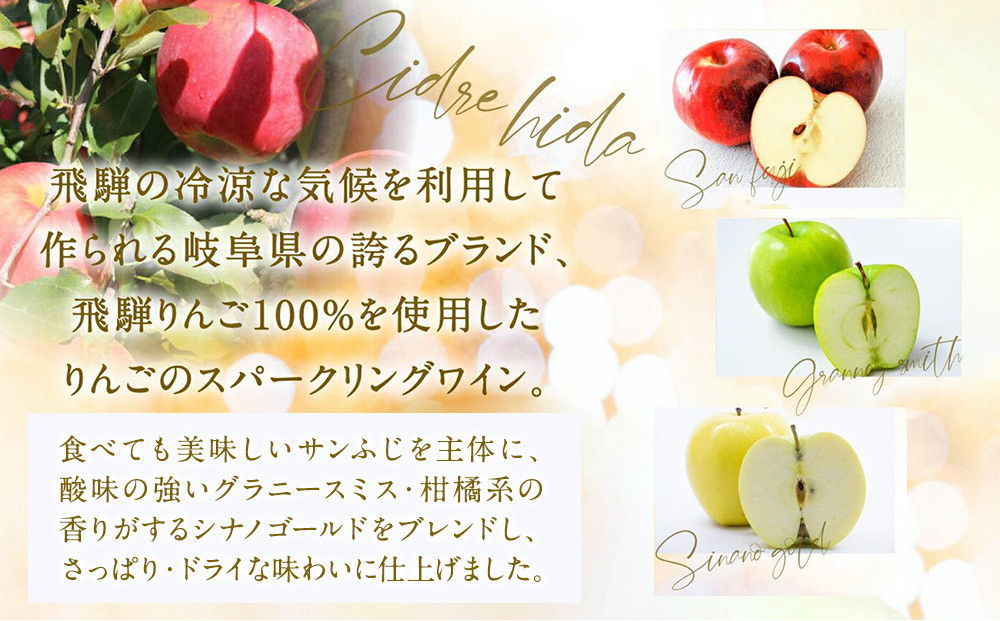 【寄附額見直しました】飛騨りんご シードル飛騨 辛口 750ml | スパークリング スパークリングワイン シードル お酒 果実酒 りんご リンゴ 林檎 ワイン 飛騨高山 木戸脇果樹園オーチャードハウス FP001