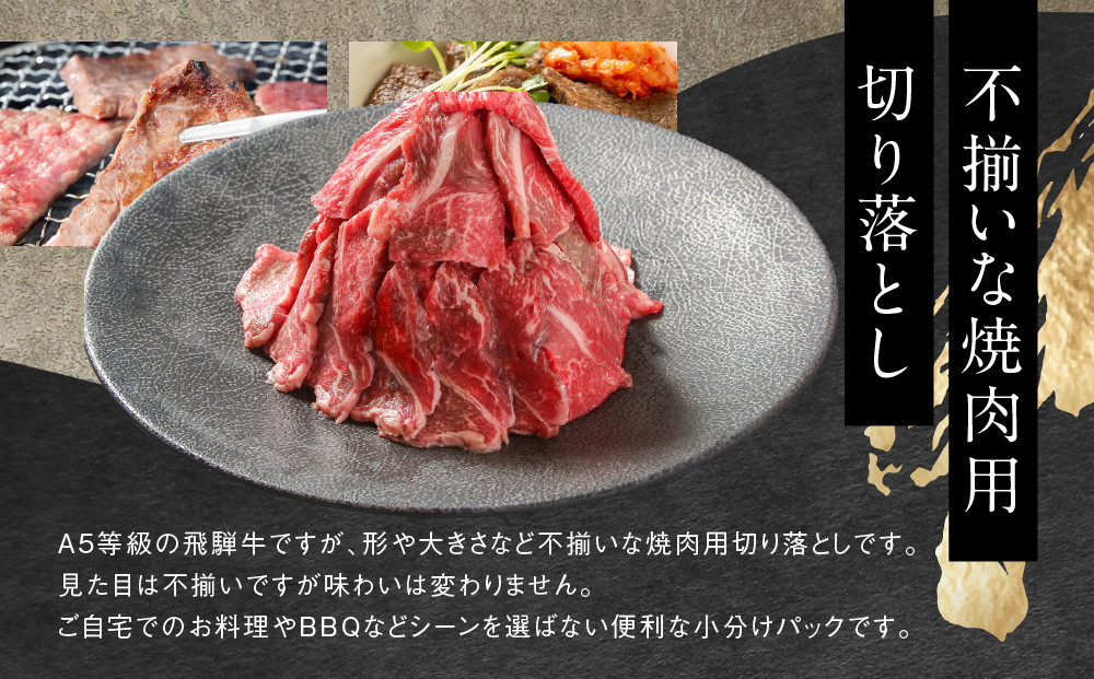 【12月配送】【形不揃い訳あり】A5等級飛騨牛 焼肉 切り落とし600g（冷蔵配送）| 年内発送 牛肉 肉 和牛 キャンプ 肉料理 ブランド牛 不揃い 人気 国産 お取り寄せ グルメ おすすめ 株式会社岩ト屋 HF040VC12