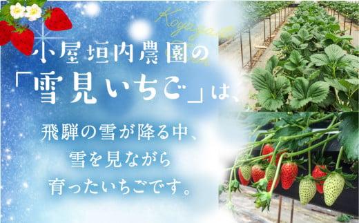 【2025年先行予約】雪見いちご 約200g×4パック | 糖度が高くてほどよい酸味 数量限定 イチゴ フルーツ 果物 いちご 品種おまかせ（紅ほっぺ／紅かおり／山天王）飛騨高山 小屋垣内農園 JA002