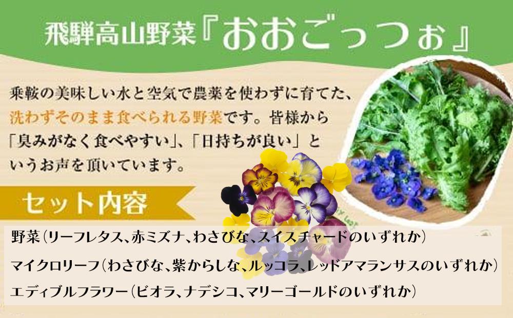 【定期便３回】飛騨高山野菜『おおごっつぉ』詰合せ 葉物野菜 葉物 ミックスリーフ わさびな フラワーサラダ 無農薬野菜 無農薬 HS101