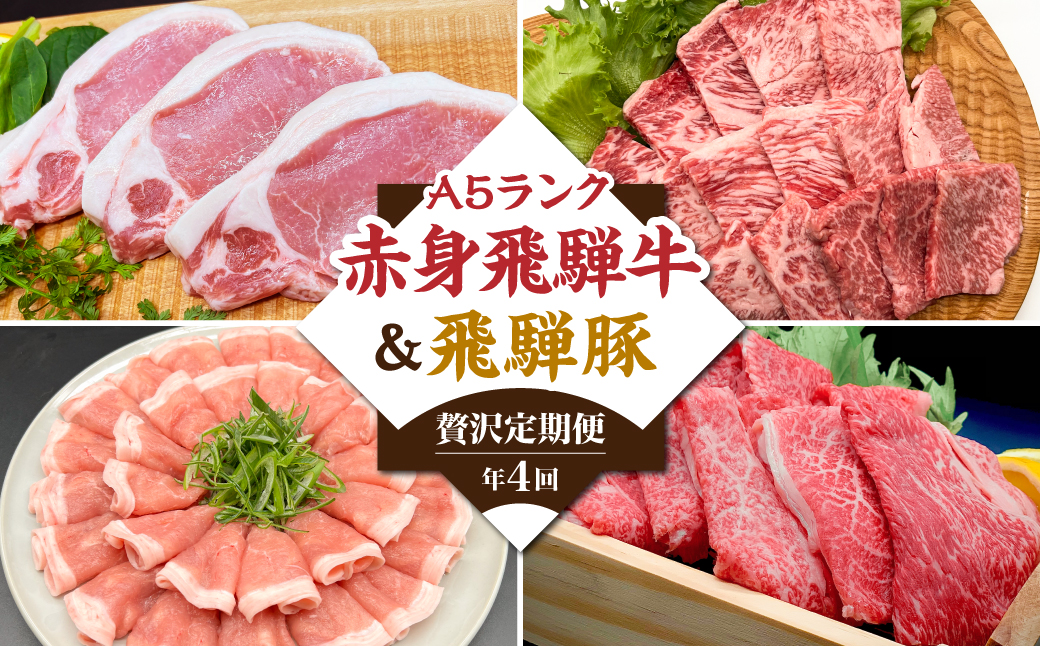 定期便 4回 A5 飛騨牛 ＆ アルプス育ちの 飛騨豚 (すき焼き 焼肉 とんかつ しゃぶしゃぶ )  豚肉 肉 豚ロース 肉 定期便 飛騨牛 牛肉 HF107