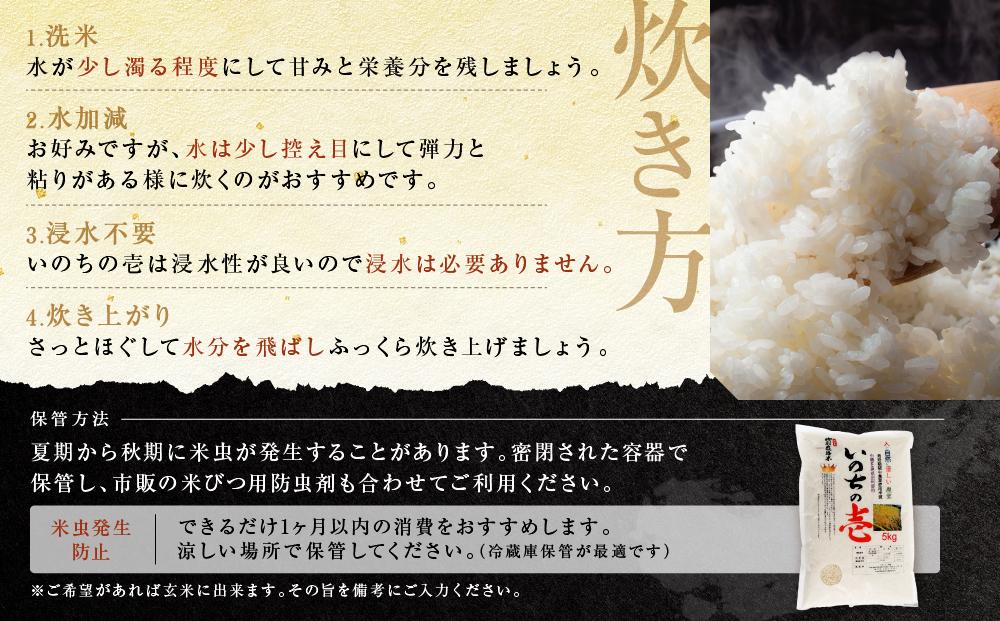 【定期便】令和5年産 飛騨高山産いのちの壱（白米）10kg×6ケ月 | 粒が大きい ブランド米 お米 ご飯 おいしい 人気 いのちの壱 飛騨高山 クオリティ飛騨高山 AU109