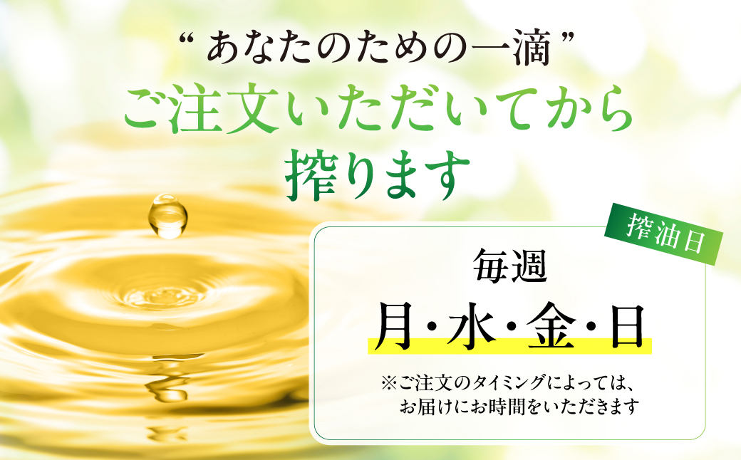 飛騨生搾り えごま油 100g×3本セット 毎月搾りたてをお届け 定期便 ３回  エゴマ油 えごま エゴマ 低温圧搾 無添加 国産えごま油  オメガ３（α-リノレン酸） たっぷり 健康 飛騨 飛騨高山 飛騨えごま本舗 CD101