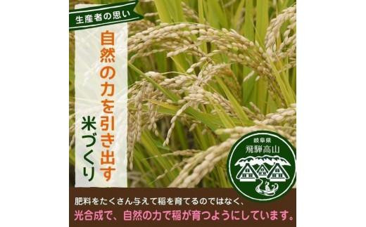 【令和7年度産】飛騨産 コシヒカリ さとう 特選米 10kg 岐阜県 飛騨高山 美味しい 米 ファミリーストアさとう CY028VC13