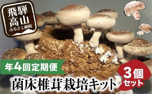 【2026年2月発送開始】 定期便 菌床椎茸栽培キット 3個×全4回（2月・5月・10月・1月に発送）| しいたけ シイタケ 椎茸 栽培キット きのこ 栽培 菌床 しいたけ菌 椎茸菌 栽培ブロック 採れたて とれたて 夏休み 自由研究 園芸 食育 飛騨高山きのこの里 GK102VC02