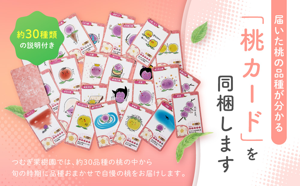 【2026年発送・先行受付】【訳あり】飛騨の桃（4-8玉）糖度15度以上 品種おまかせ ご家庭用｜桃 もも 極上の甘さ 濃厚な甘さ 甘い 訳アリ 規格外 朝採り 朝採れ農家直送 飛騨高山つむぎ果樹園 GH010