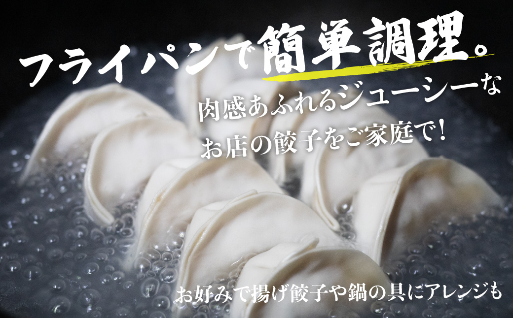 高山餃子 30個入り お試しパック ＜ 生冷凍餃子 ・ 簡易包装 ＞ ぎょうざ ギョーザ 冷凍 冷凍餃子 簡易包装 業務用 惣菜 ニラ 豚肉 大容量 TR4586