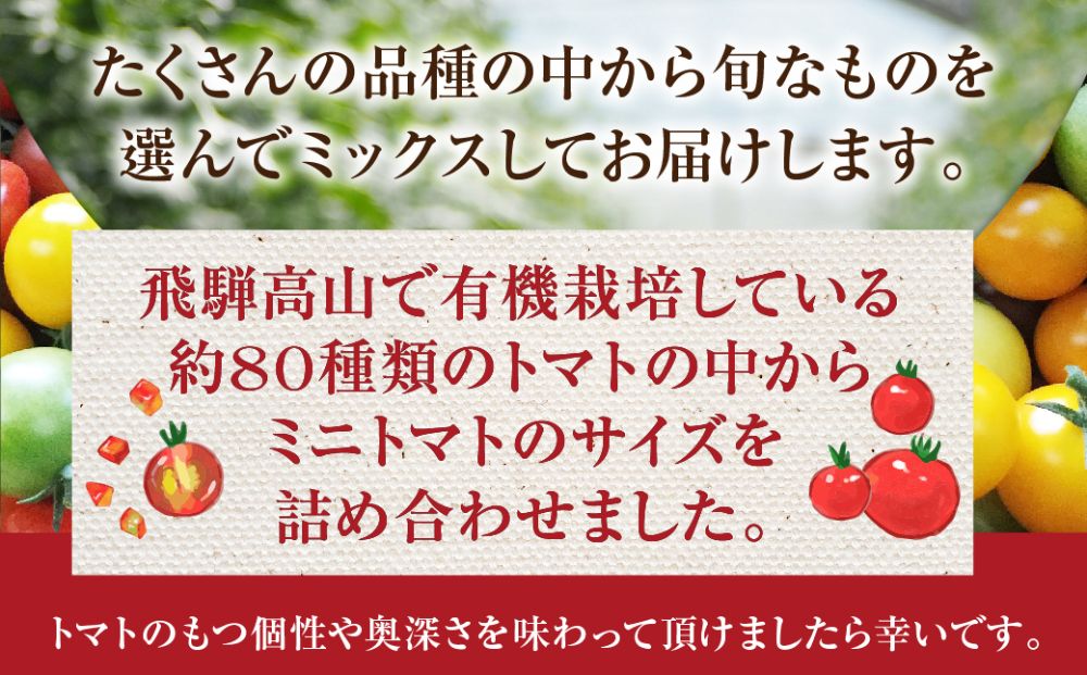 2024年夏 先行予約】（6月中旬から順次発送予定）飛騨高山産 有機栽培