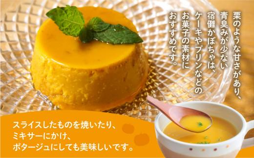 【数量限定】2026年 先行予約（9月頃より発送開始予定） 宿儺かぼちゃ 2本 | 南瓜 カボチャ 飛騨野菜 飛騨の特産品 野菜 数量限定 期間限定 飛騨高山 宿儺さま KA003