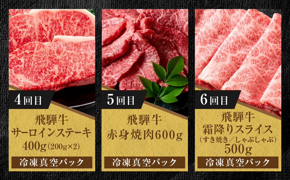 【定期便】全12回 飛騨牛 ざんまい(ステーキ/焼肉/すき焼き/切り落とし/ブロック) | 肉 お肉 黒毛和牛 和牛 個包装 小分け 牛肉 お取り寄せ 飛騨高山ミート MZ106