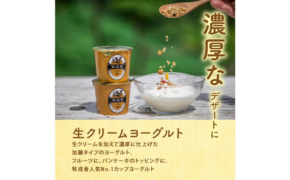 ＜牧成舎＞飛騨の牛乳屋さんが作った こだわりの ヨーグルトバラエティー7点セット（ヨーグルト2種6個・のむヨーグルト750ml×1本）| セット 乳製品 ご当地 無添加 おいしい ヨーグルト ドリンク デザート 飛騨高山 (有)牧成舎 DF041