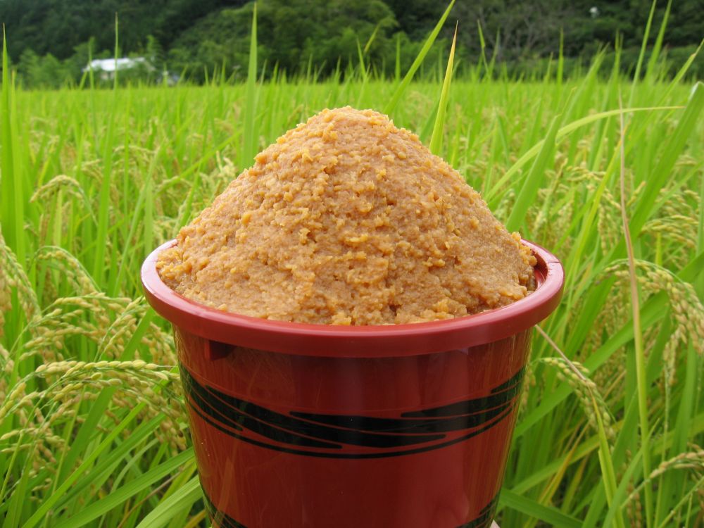 【こうじや】つやほまれ味噌（450g×4個）＋朴葉みそ（100g×1袋）詰め合わせ | おいしい キッチン 味噌 こうじ 健康 簡単調理  糀屋柴田春次商店 TR3848