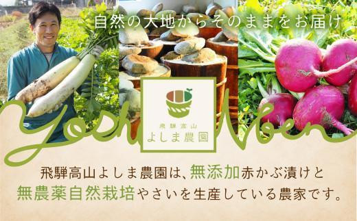 自然栽培農家のドレッシング3種 | 自家栽培農家 ドレッシング サラダ 自家栽培 洋風ドレッシング 玉ねぎドレッシング 大根おろしドレッシング 梅ドレッシング 飛騨高山 よしま農園 CK015VC13